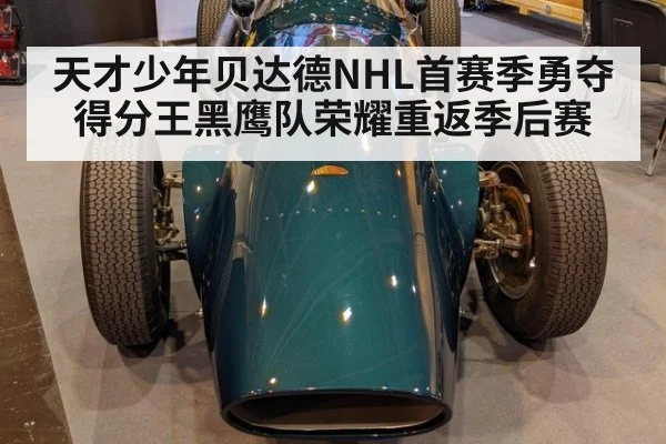 天才少年贝达德NHL首赛季勇夺得分王黑鹰队荣耀重返季后赛